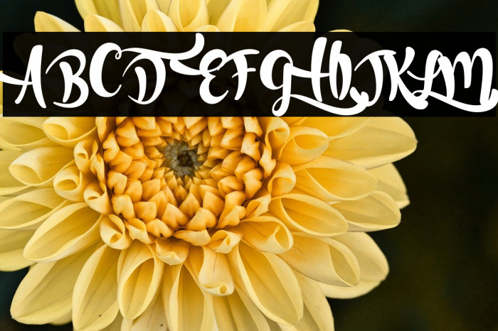 Lost in Wild Regular Example 2