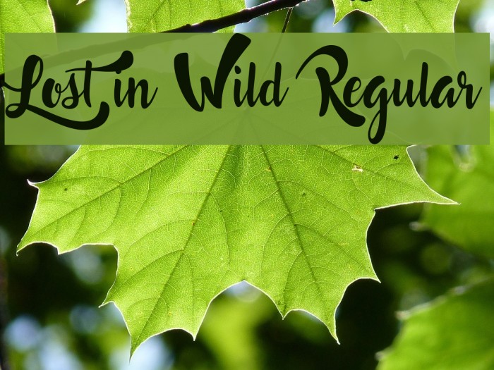 Lost in Wild Regular Font examples