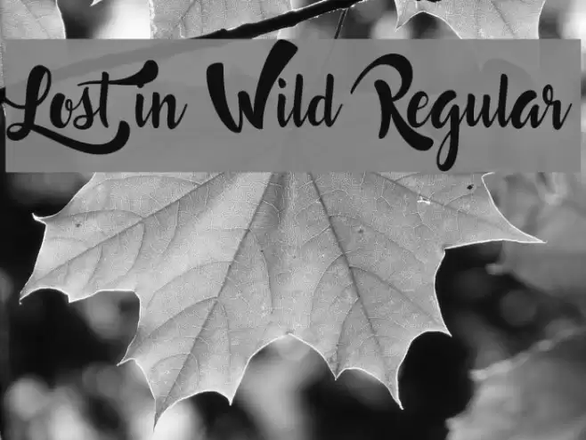Lost in Wild Regular Font examples