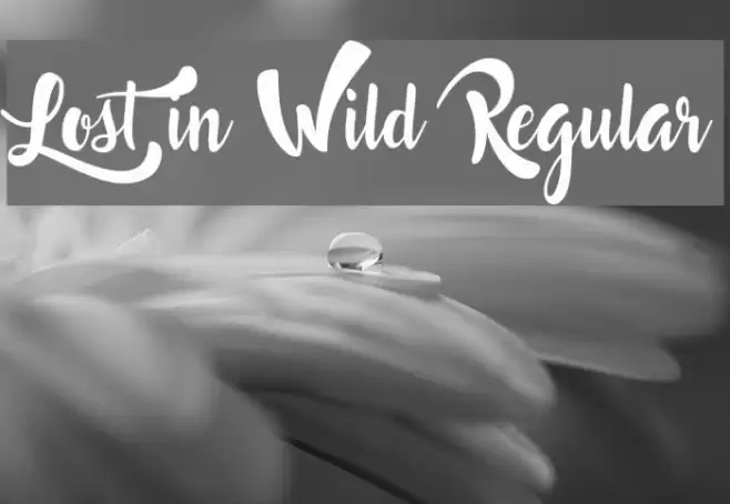 Lost in Wild Regular Font examples