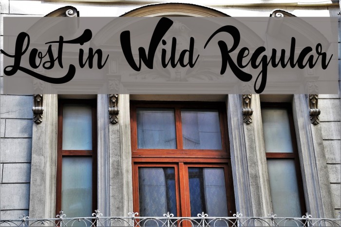 Lost in Wild Regular Font examples