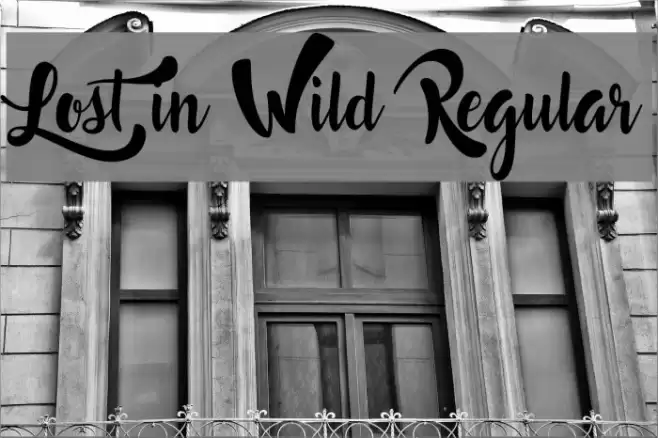Lost in Wild Regular Font examples