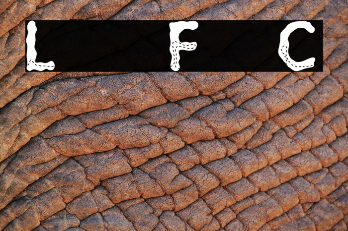 Lost in the Fo'nt'rest Caps Font examples