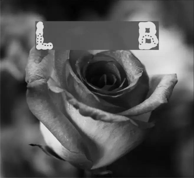 Lost in the fontrest Bold Font examples