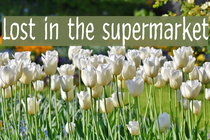 Lost in the supermarket Font examples