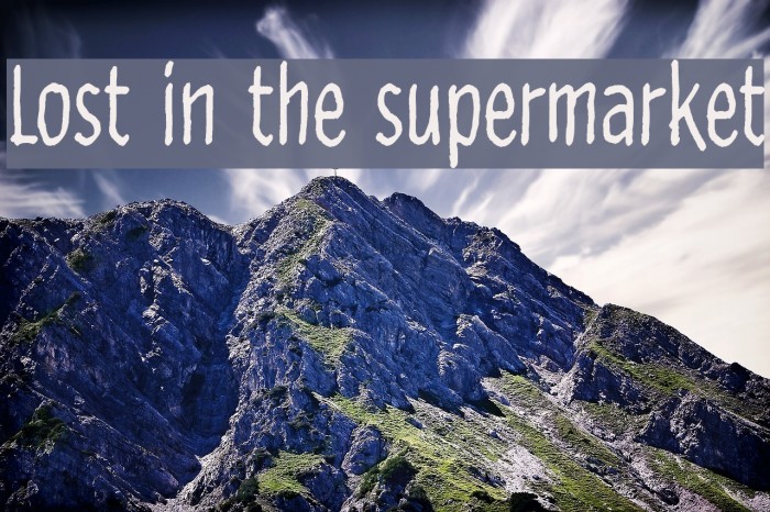 Lost in the supermarket Font examples