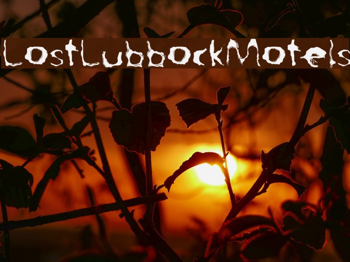 LostLubbockMotels Font examples