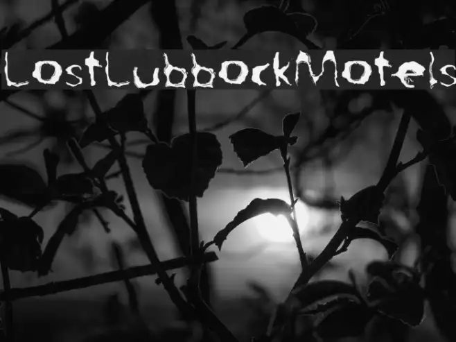 LostLubbockMotels Example 1