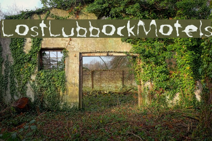LostLubbockMotels Font examples