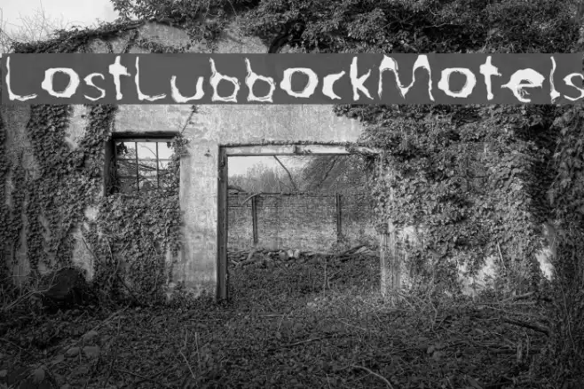 LostLubbockMotels Example 2