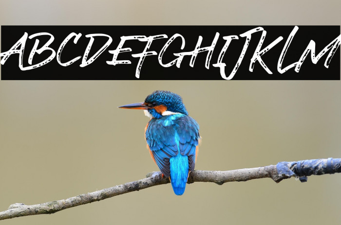 LostRockRegular Example 3