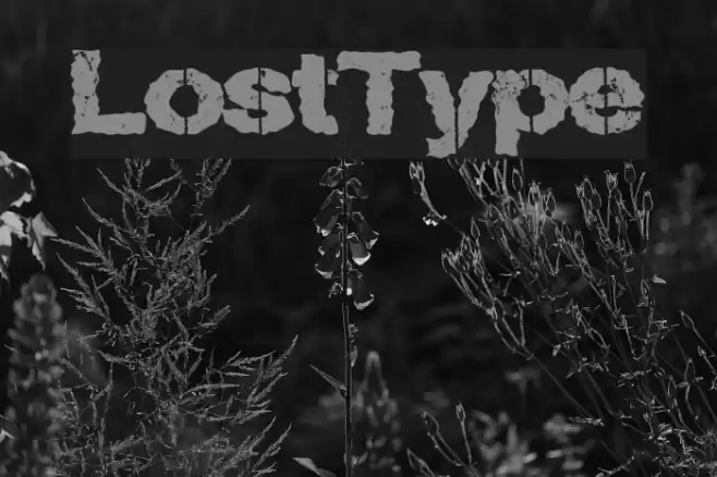 LostType Font examples