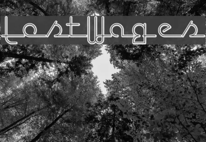 LostWages フォント examples