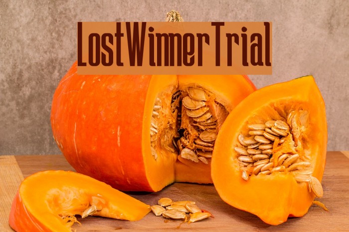 LostWinner-Trial Font examples
