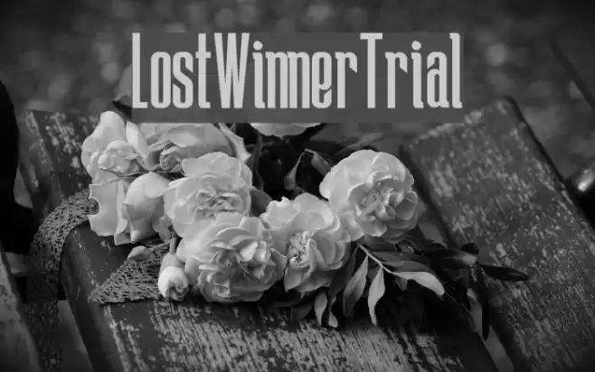 LostWinner-Trial Font examples