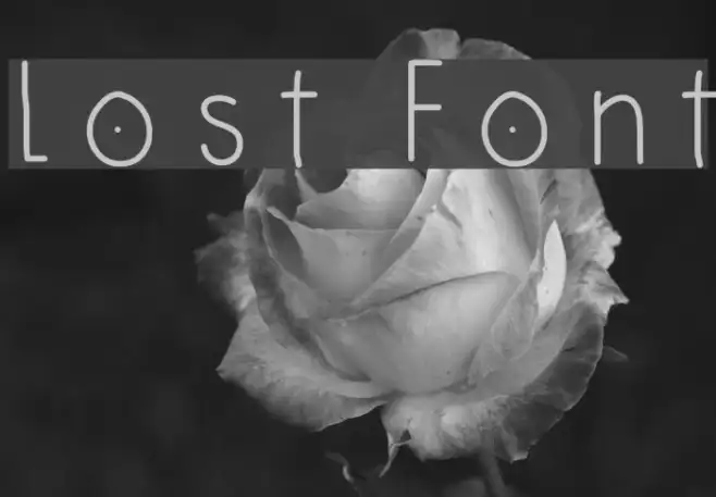 Lost Example 1