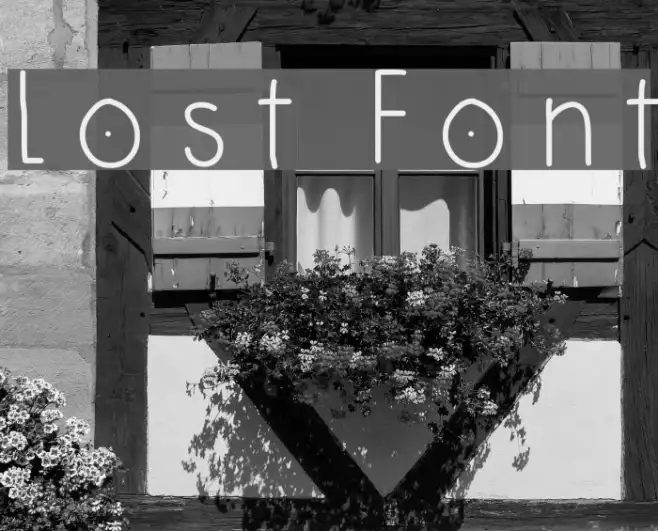 Lost Example 3