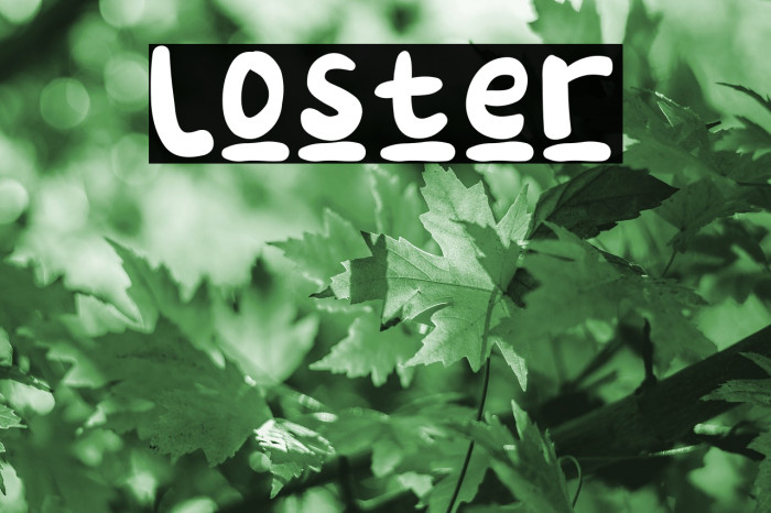 Loster Example 3