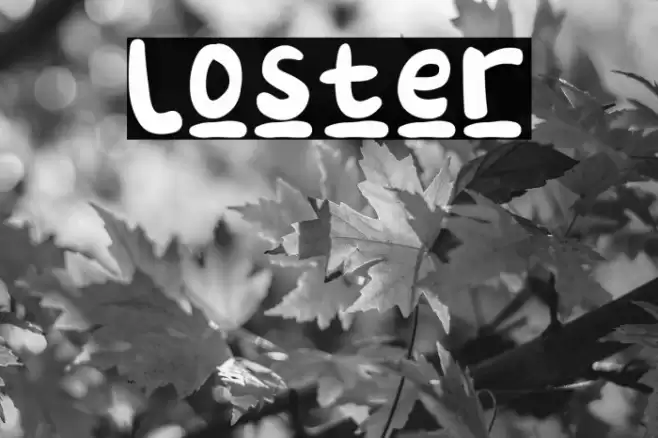 Loster Font examples