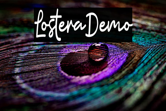 LosteraDemo Example 1