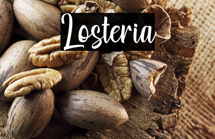 Losteria Example 1