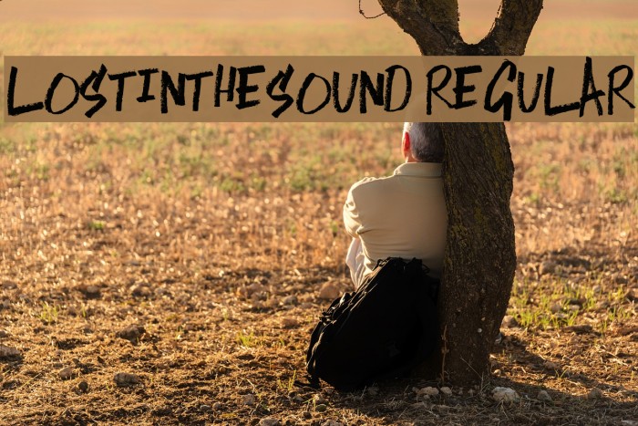 LostintheSound-Regular Font examples