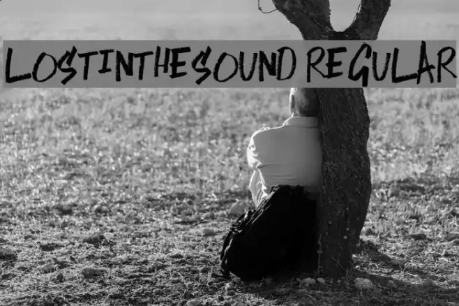 LostintheSound-Regular Example 1