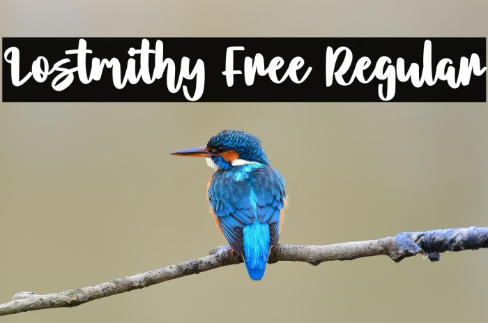 Lostmithy Free Regular Example 1