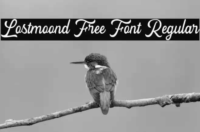 Lostmoond Free Font Regular Font examples