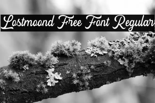 Lostmoond Free Font Regular Font examples