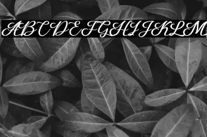 Losttimoh Font examples