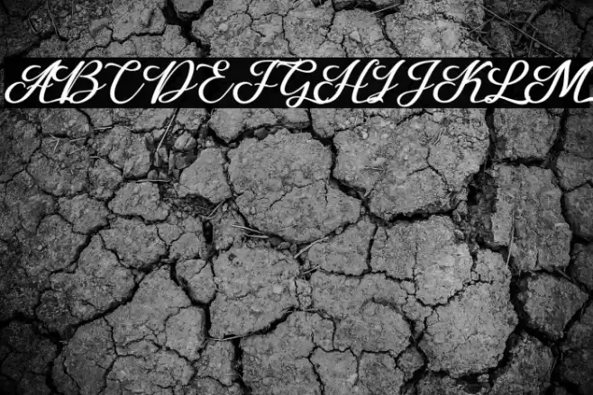 Losttimoh Font examples