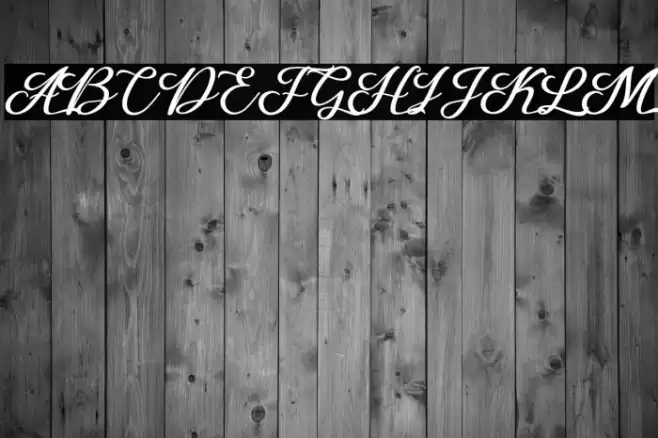 Losttimoh Font examples