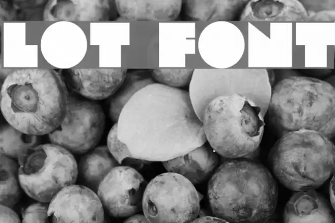 Lot Font examples