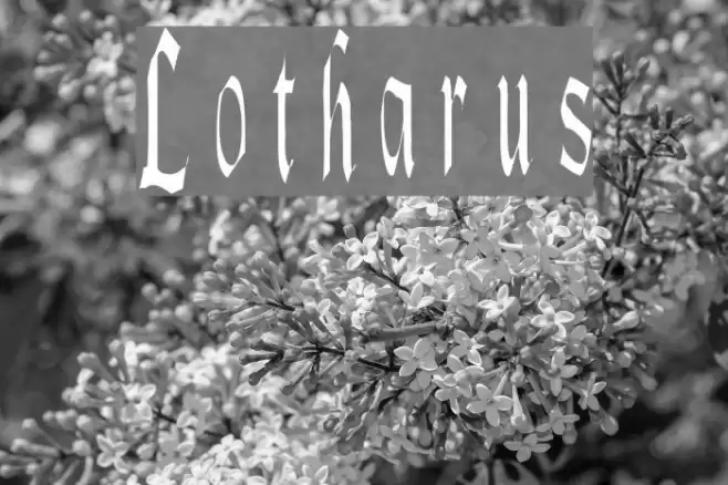 Lotharus フォント examples