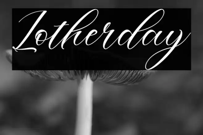 Lotherday Font examples