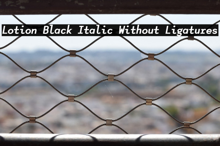 Lotion Black Italic Without Ligatures Example 2