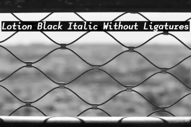 Lotion Black Italic Without Ligatures Font examples