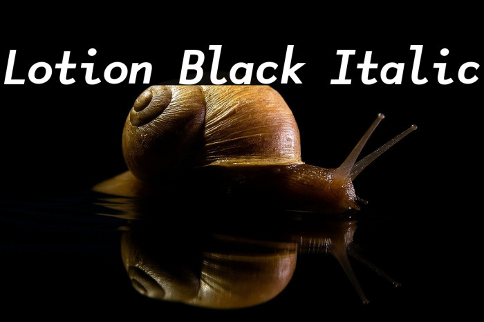 Lotion Black Italic Example 1