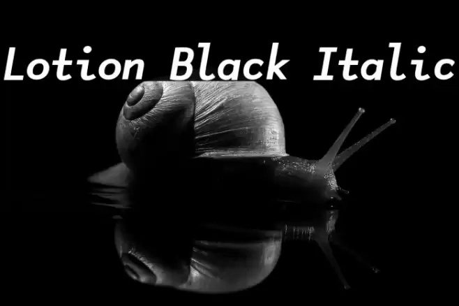 Lotion Black Italic Font examples