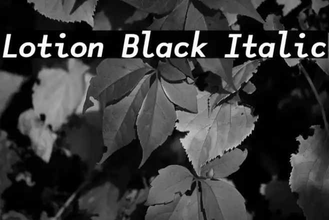 Lotion Black Italic Font examples