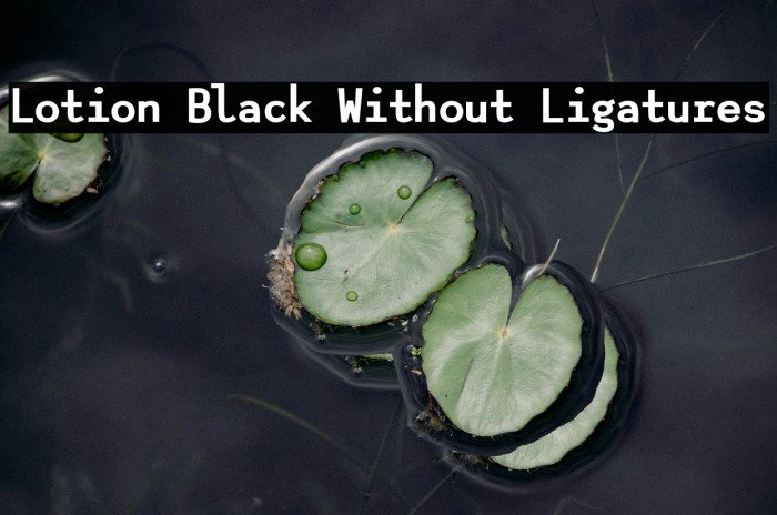 Lotion Black Without Ligatures Example 3