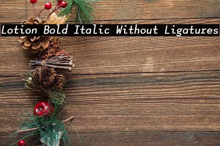 Lotion Bold Italic Without Ligatures Example 2