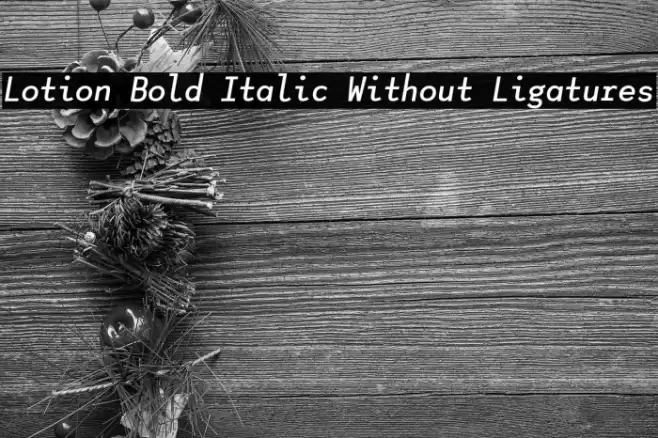 Lotion Bold Italic Without Ligatures Fonte examples