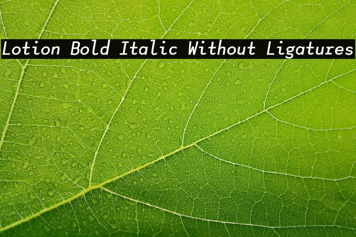 Lotion Bold Italic Without Ligatures Example 3