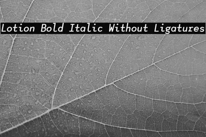 Lotion Bold Italic Without Ligatures Fonte examples