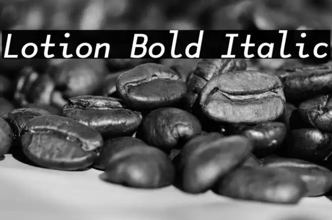 Lotion Bold Italic Font examples