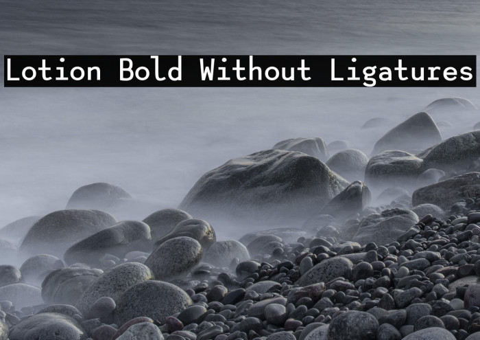 Lotion Bold Without Ligatures Example 1