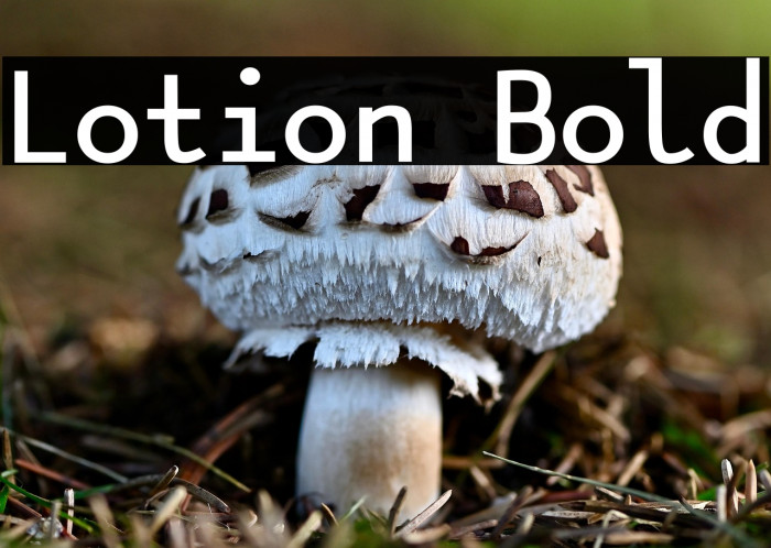 Lotion Bold Example 1