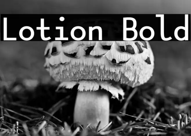 Lotion Bold Font examples